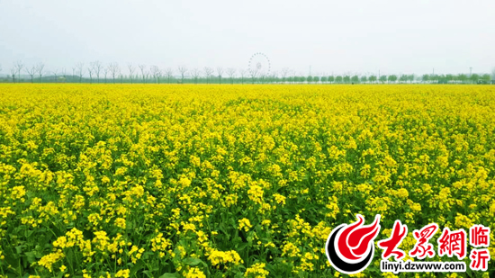“大美蘭陵”攝影大賽征稿 2.4萬(wàn)獎(jiǎng)金等你拿
