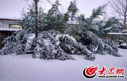 臨沂大到暴雪 氣象部門(mén)發(fā)布暴雪黃色預(yù)警