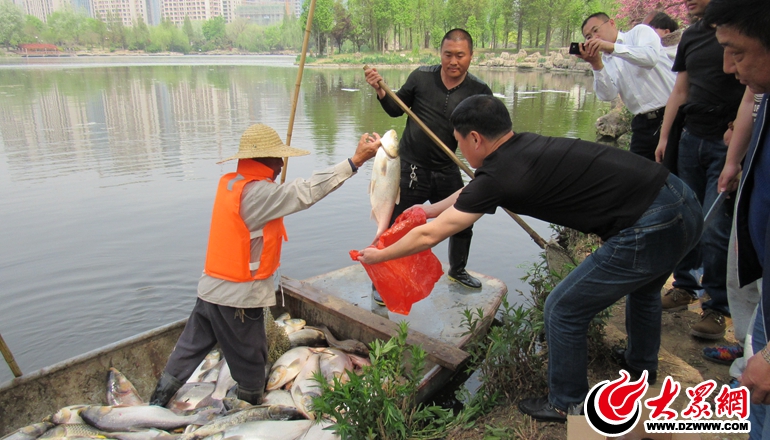 臨沂五洲湖現(xiàn)大量死魚(yú) 引市民爭(zhēng)搶打撈