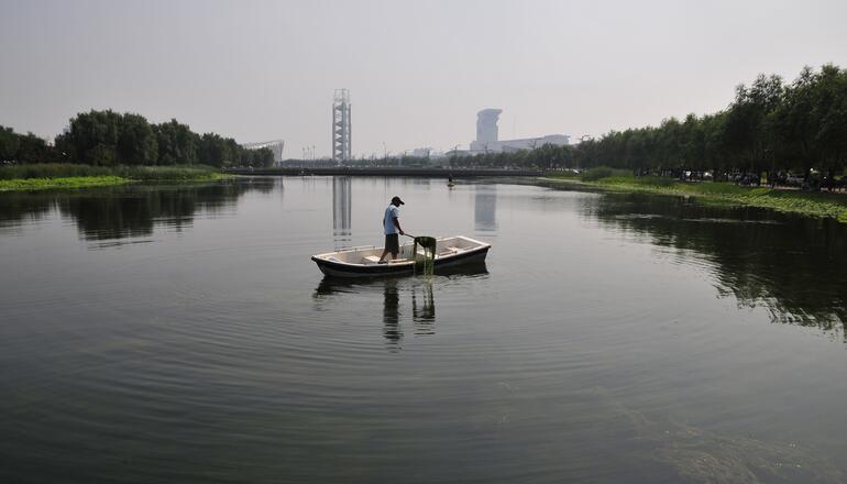 臨沂城區(qū)河道水草又爆發(fā) 打撈水草邀您獻(xiàn)計(jì)
