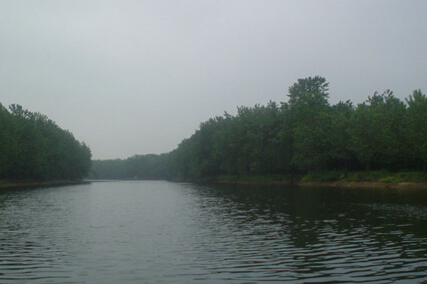 臨沂雞龍河 白馬河濕地公園獲評國家2A