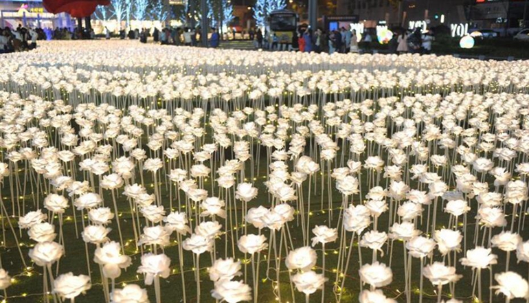 “夜光玫瑰花海”綻放成都