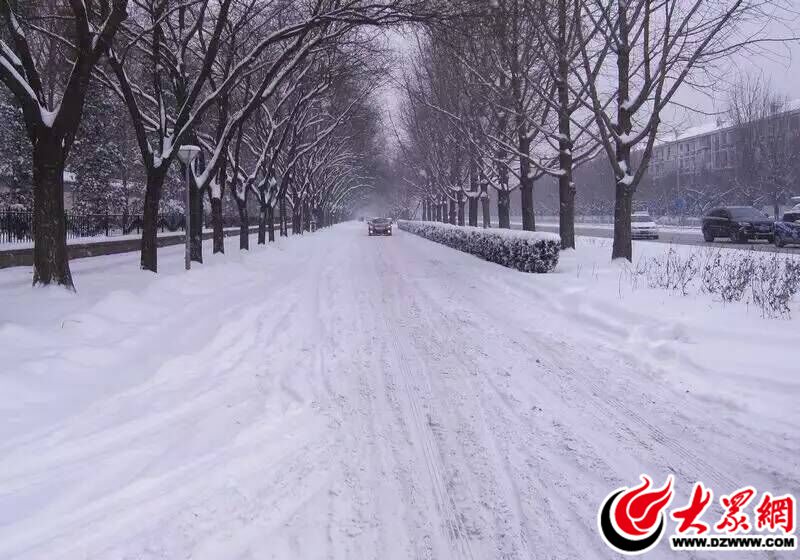 1、2015年11月24日，臨沂迎來了羊年的第一場雪，大雪的突降雖然給市民的出行帶來了許多不便，但是絲毫沒有影響到人們賞雪的心情。（大眾網(wǎng)記者 滿健 攝）.jpg