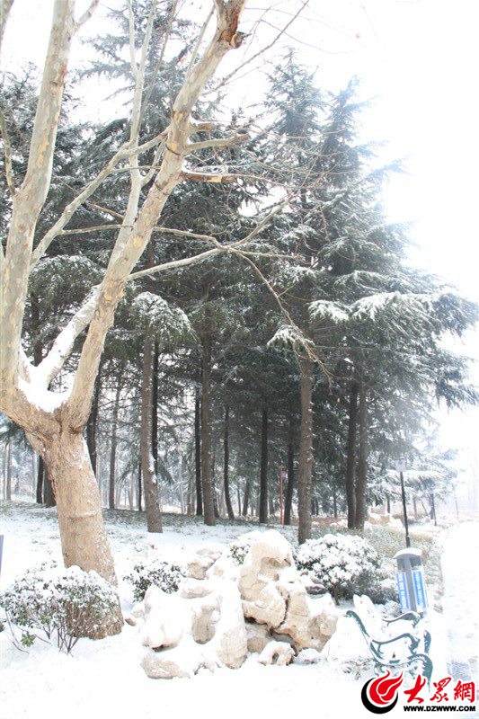 5、久沒有這樣舒暢過，張開雙臂擁抱初雪的清晨，心中一片澄明，搖一搖，雪花亂顫。滿眼的世界——極亮、極明、極干凈。（大眾網(wǎng)記者 滿健 攝）.jpg