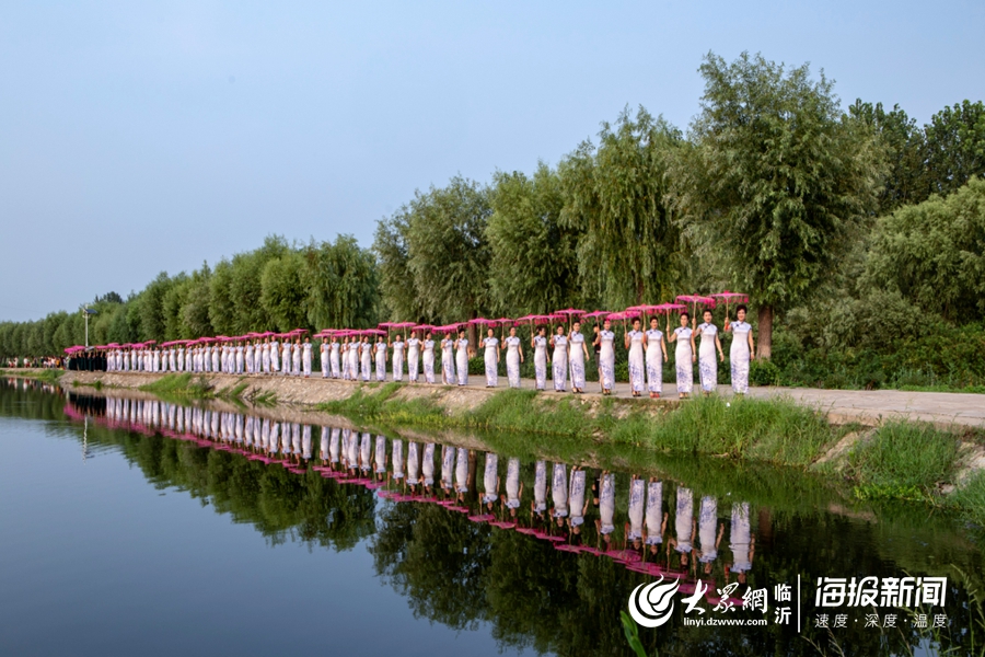 臨沂羅莊：水墨旗袍映荷花 (1).jpg