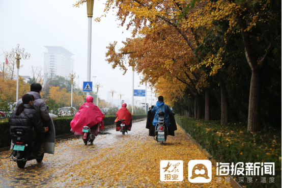 立冬后第一場(chǎng)雨！臨沂美爆了（組圖）103.png