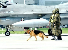 組圖：波蘭空軍演練抓捕“叛逃”F-16飛行員